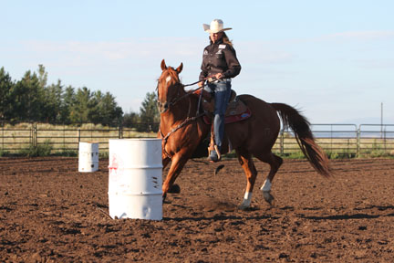 Gallop Poll: How's Your Footing? promo image