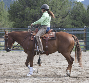 Heidi Nyland Melocco