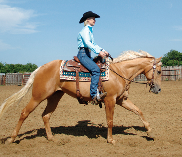 3 Tips to Glue You in That Saddle promo image