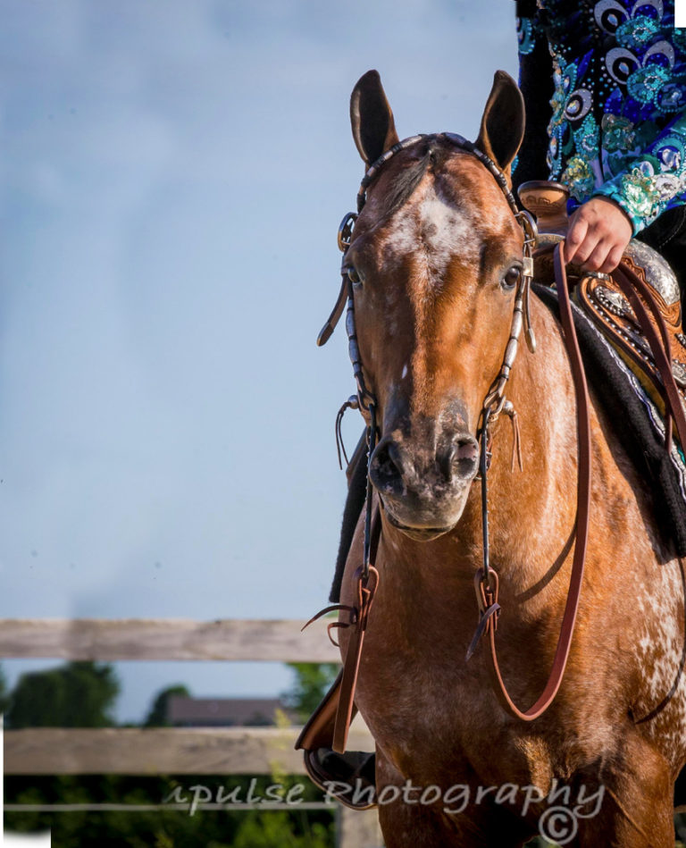 LTO: Docs Good N Plenty promo image