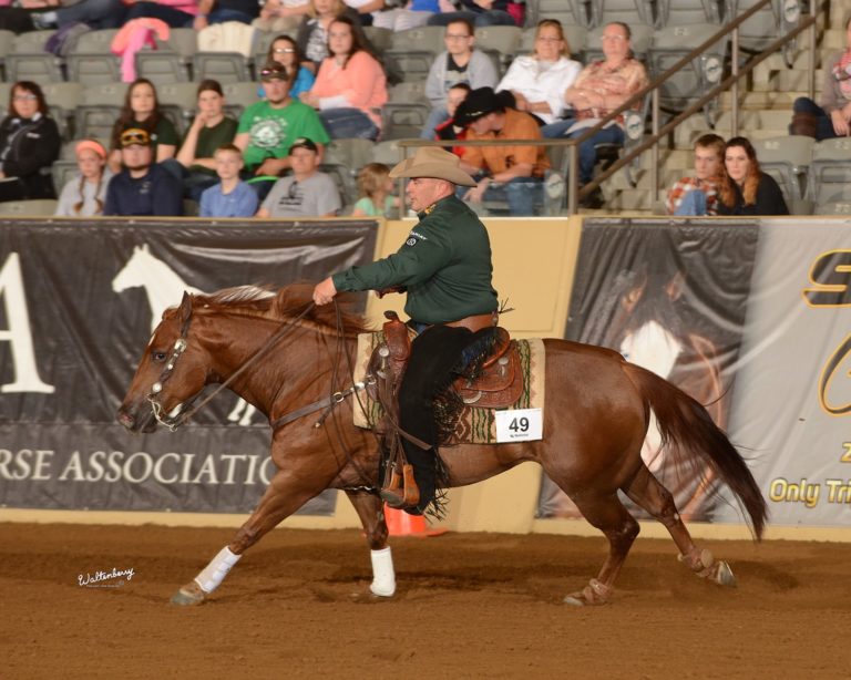 2015 Kentucky Reining Cup promo image