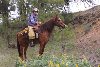 Summer Day Rides promo image