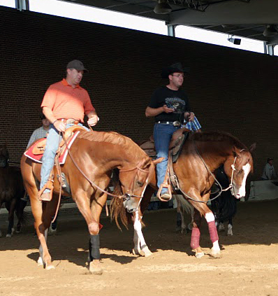 Gallop Poll: How Often Do You Ride? promo image