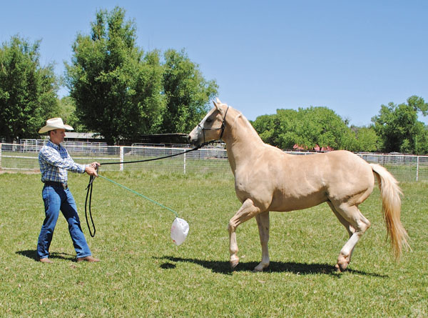 HR-150800-PROBLEM-01_gn