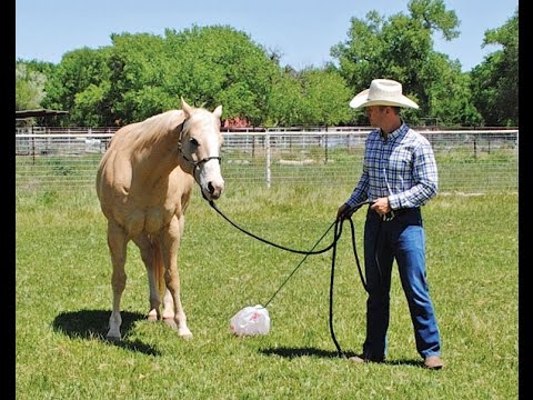 Ty Brazeal on Desensitization promo image