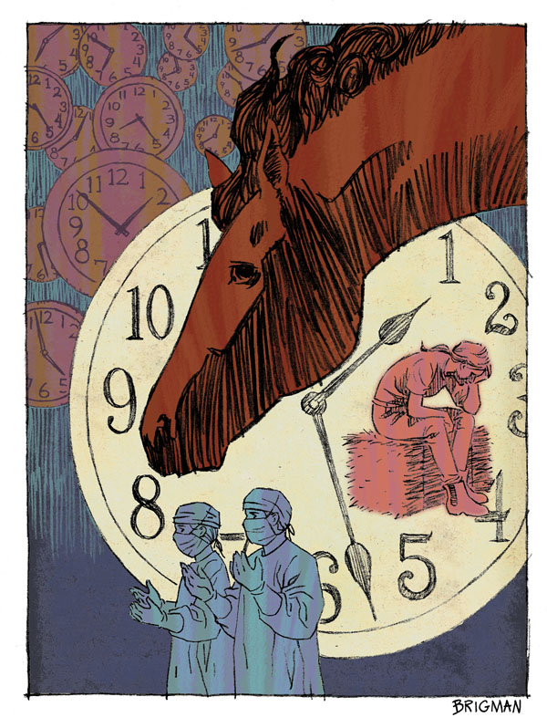 From Barn to 'Table' promo image