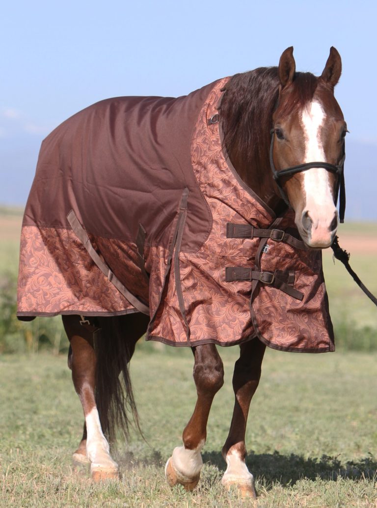 Gallop Poll: Blanket in Winter? promo image