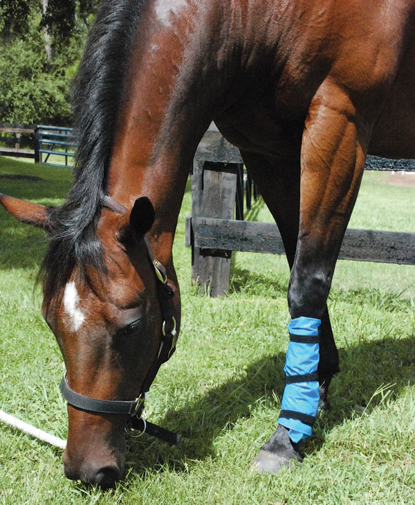 HR-151200-GEAR-01_gn