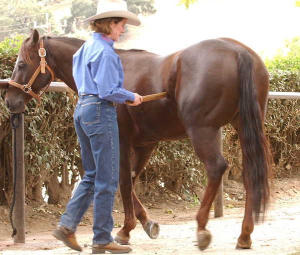 HR-collier-yield-pressure-hitching-post-Fyffe