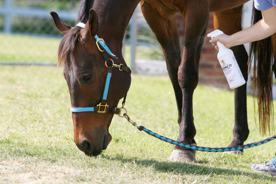 Gallop Poll: Fly-Control Methods? promo image