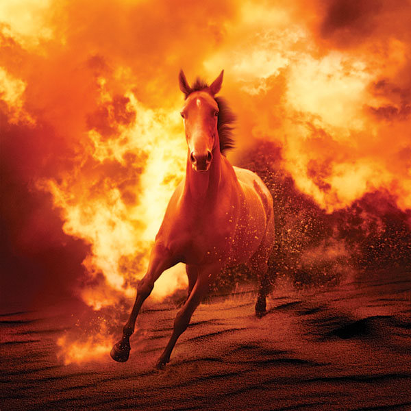 HR-140600-YHYL-09_gn