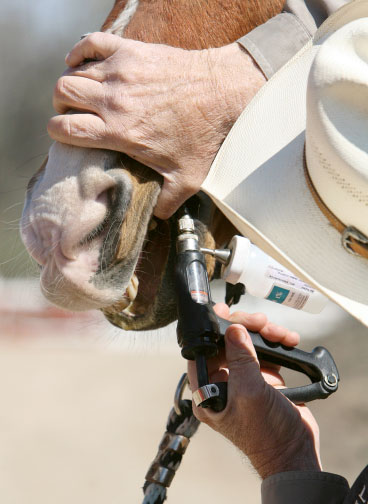 Deworming Strategies promo image