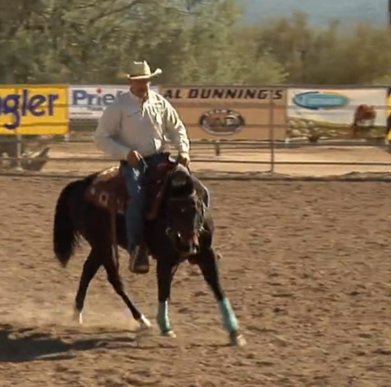 Al Dunning: Horsemanship Basic #2: Go Left and Right promo image