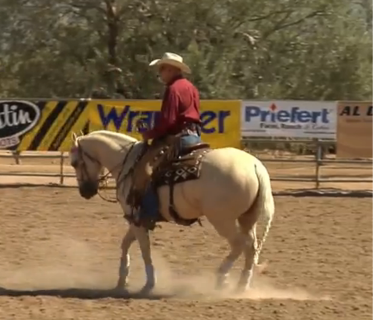 Al Dunning: Horsemanship Basic #4: Back Up promo image