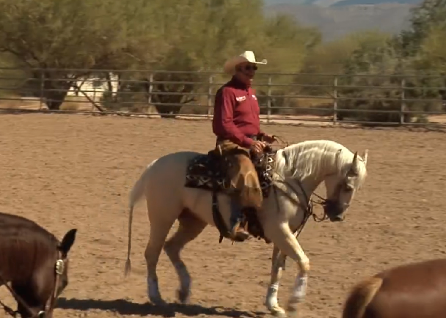 Al Dunning: Horsemanship Basic #5: Collect and Review promo image