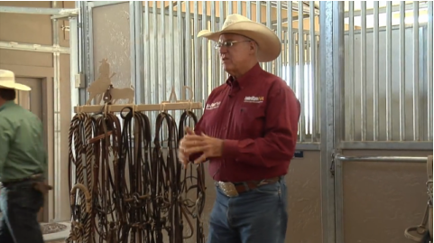 Al Dunning Tack Talk: Smooth Snaffle Bit promo image