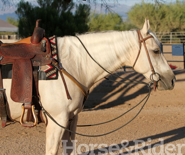 HR-160600-TACK-01_gn