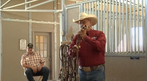 Al Dunning Tack Talk: Martingale promo image