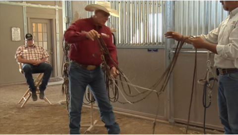 #ReadyToRide: The German Martingale promo image