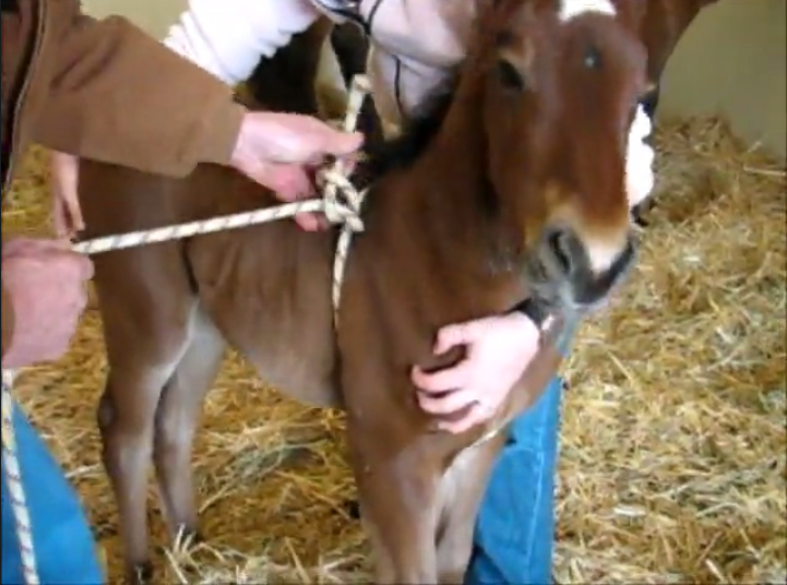 The Madigan Squeeze promo image