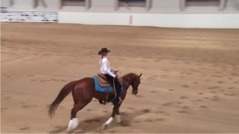 NRCHA Stallion Stakes Win promo image