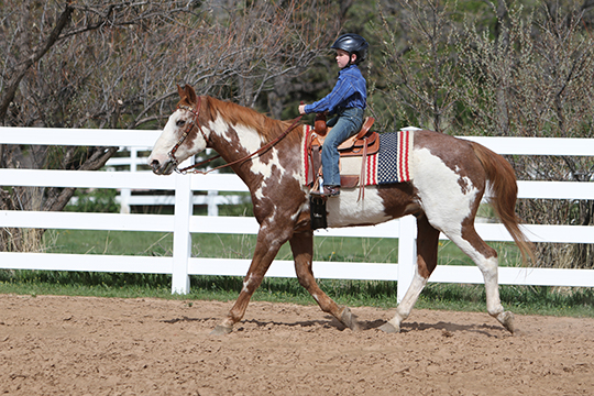 Take a Friend Riding promo image