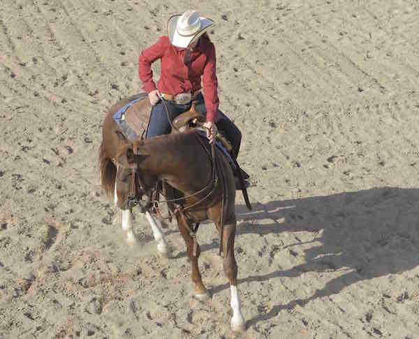 Gallop Poll: Toughest Training Fix? promo image