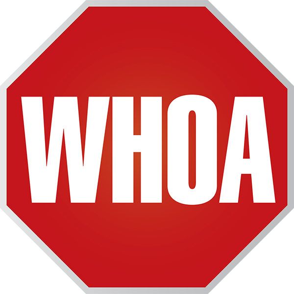 HORP-100300-YHYL-23