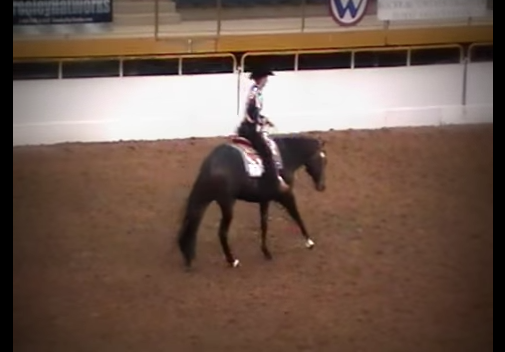 Love To Own: The Immortal promo image