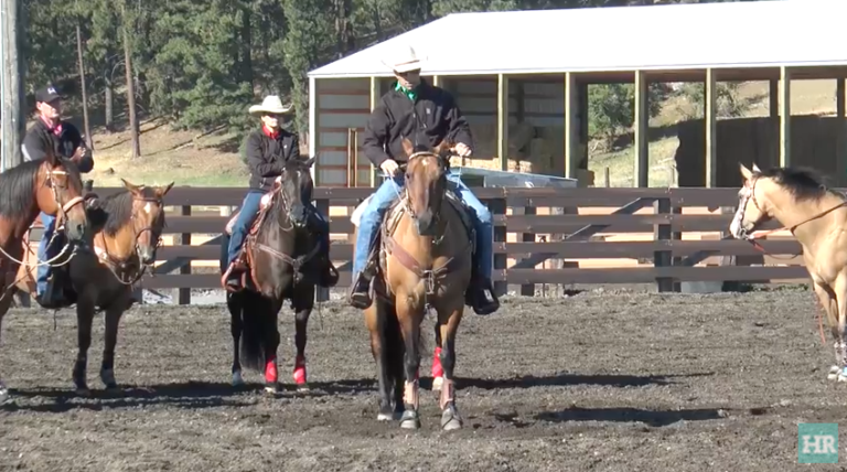 #RideWithBrad: Back-Up Exercise promo image