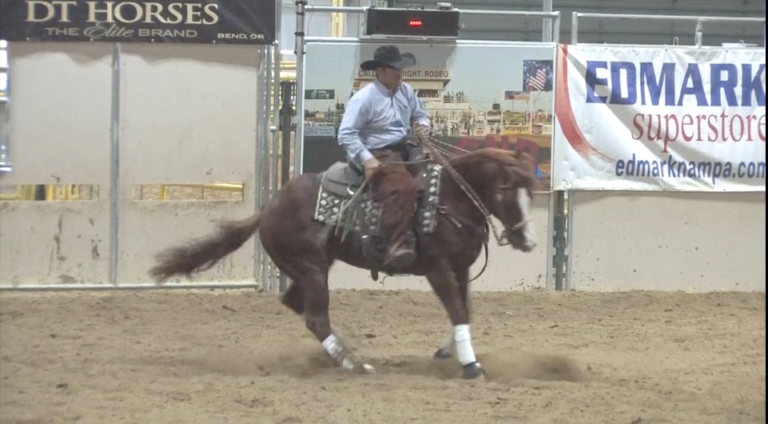 We'd Love To Own: Chics Smart Lena promo image