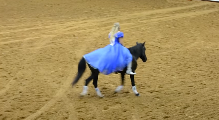 Madison Shambaugh Bridleless Ride promo image