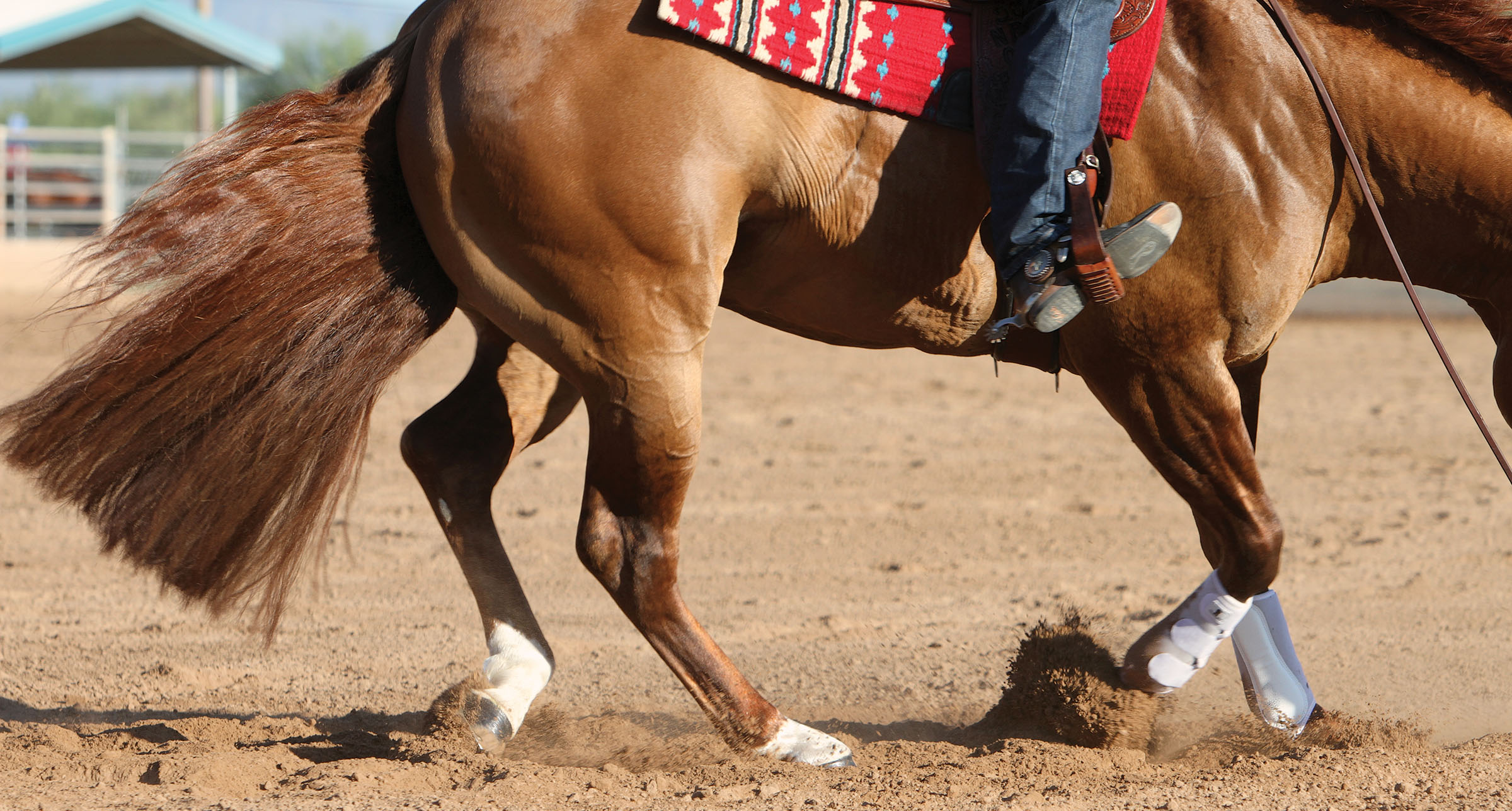 Barrel Racing Arena Footing