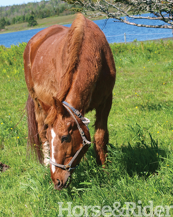 HR-170200-PPID-01_gn