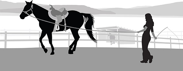 Trainers on the Rise promo image