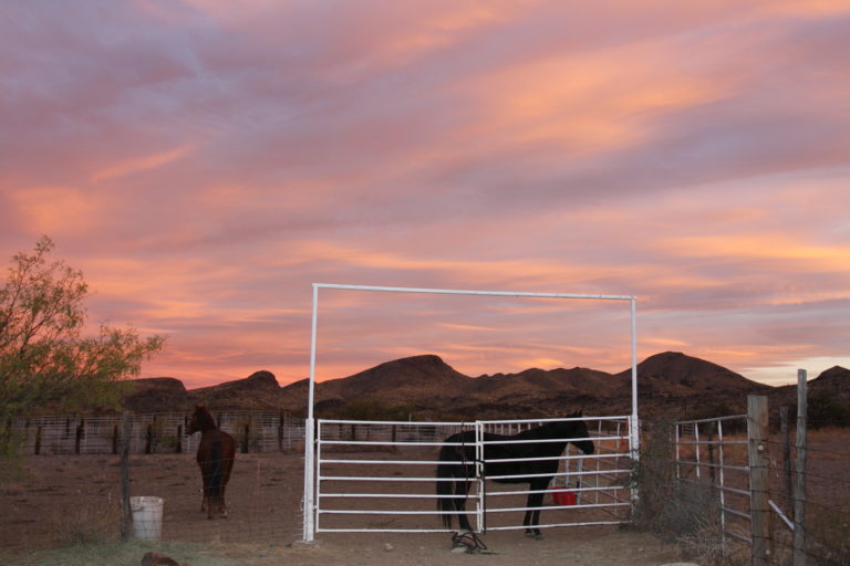 TEXAS-KRONE-BIGBEND