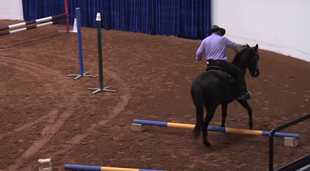 HR-working-equitation-02