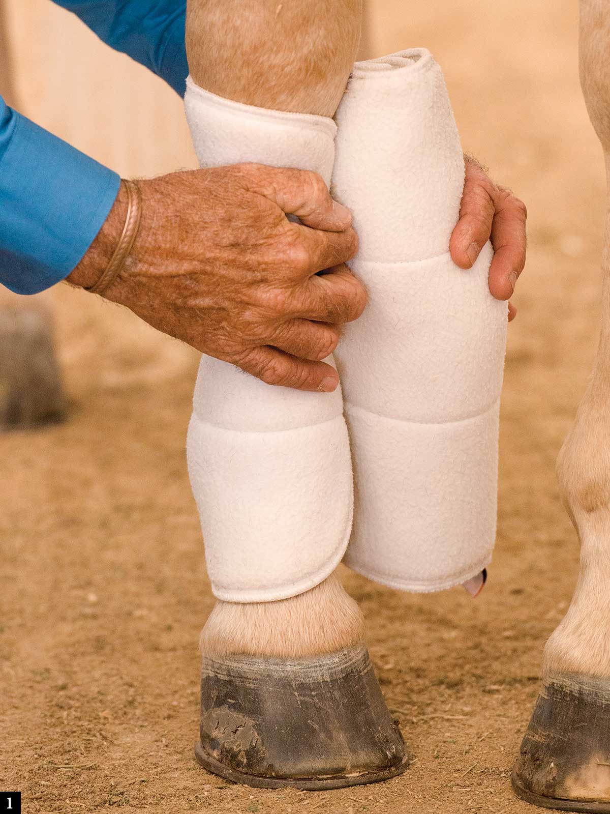 How To Apply a Standing Wrap to Your Horse's Leg - My New Horse