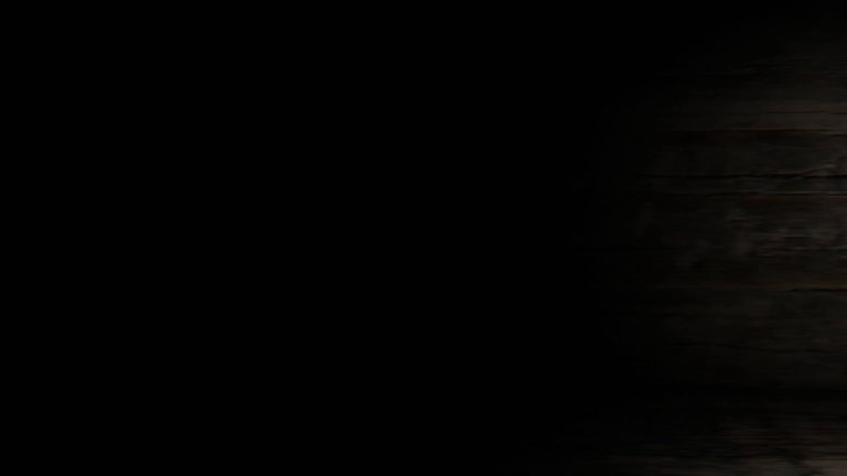 BRAD BARKEMEYER WIN A DAY - BE A CHAMPION AT HOME