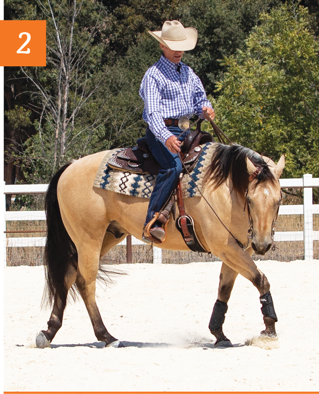 stiff_warwickschiller_02