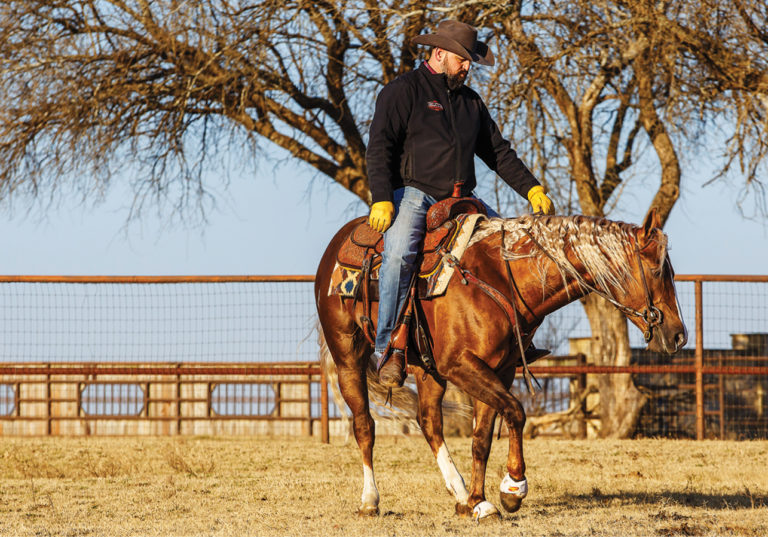 horseandrider-19WIN-Turn Drill_04