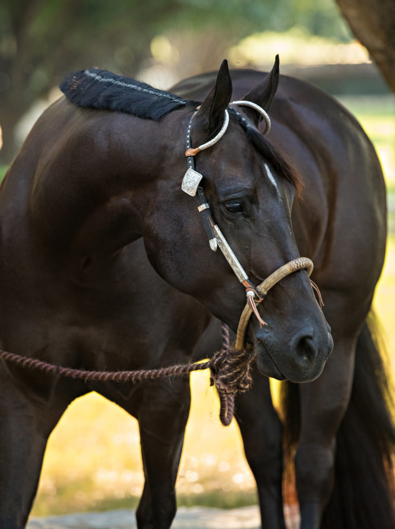 HR-19WIN-Welfare Update04