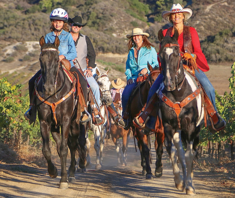 horseandrider_travel2-1217