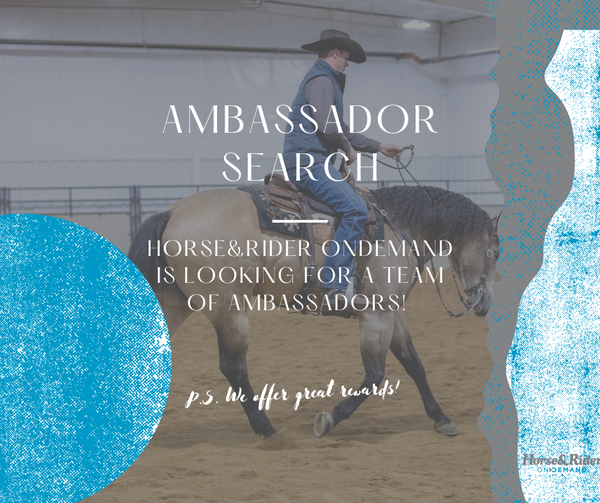 242605532_185555370377409_6066818268581066814_n