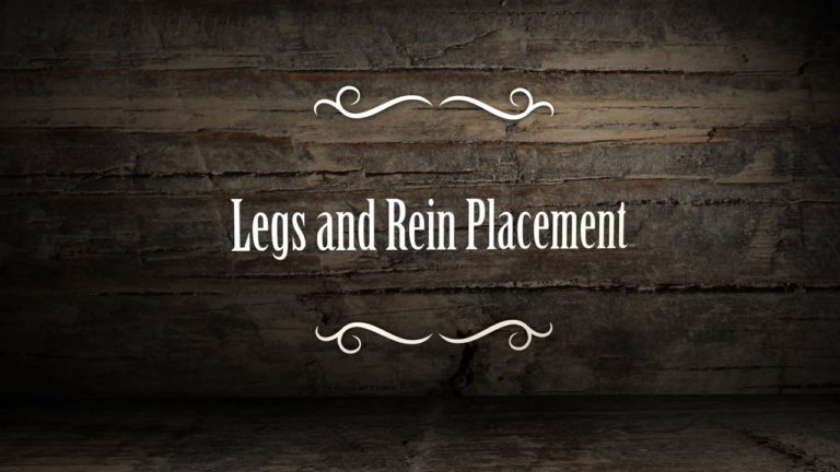 14_WAD_BRAD BARKMEYER_2021_LEGS AND REIN PLACEMENT_FINAL_V1