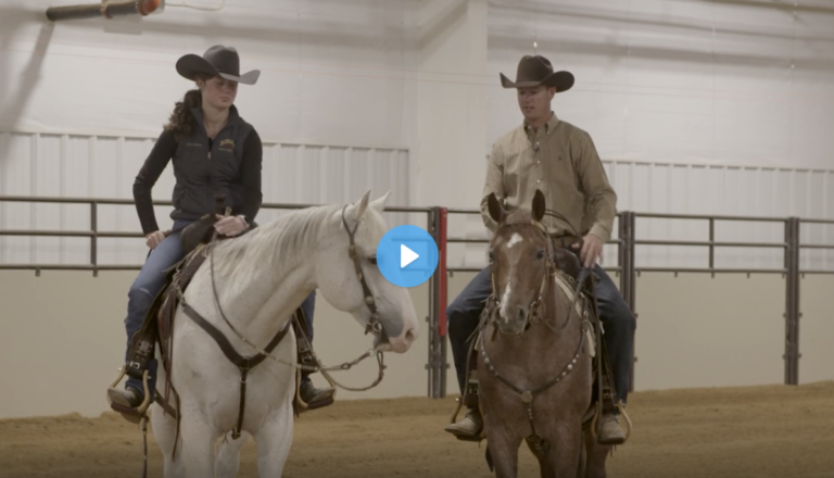 Screen Shot 2022-03-07 at 11.55