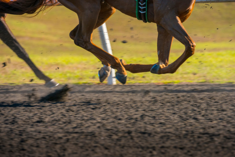 Horse Race colorful bright sunlit slow shutter speed motion effe