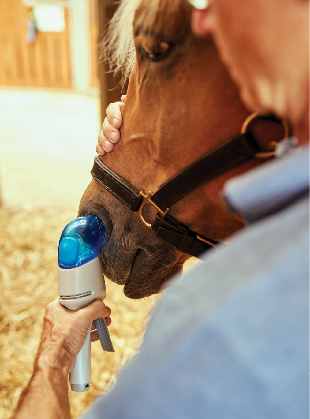 What You Need to Know About Equine Asthma Horse and Rider