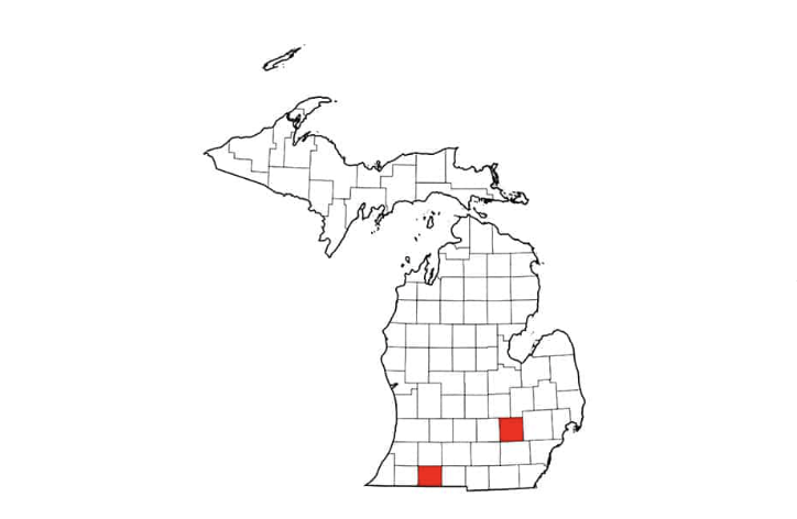 Screen Shot 2022-06-28 at 8.29