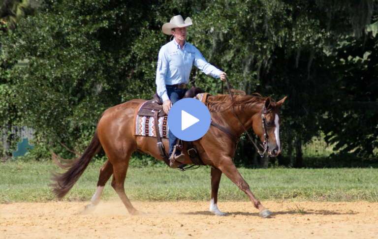 Screen-Shot-2022-07-05-at-12.41